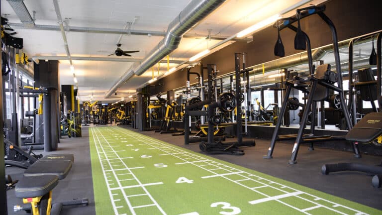 GYMONE Body-Scan-Coaching 21
